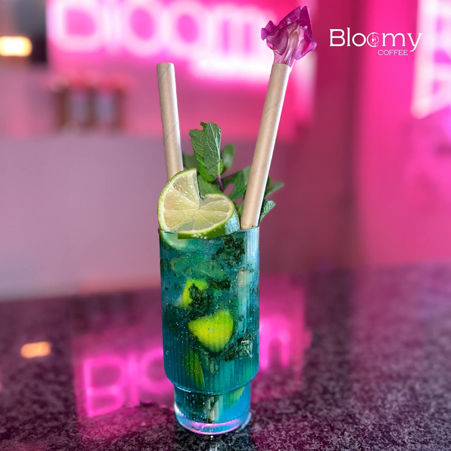 Bloomy Gallery