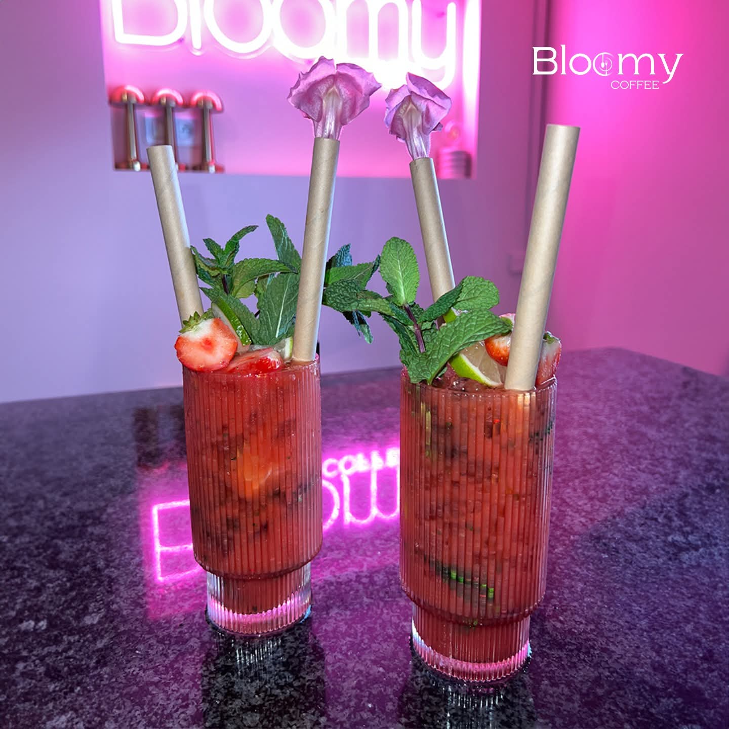 Bloomy Gallery